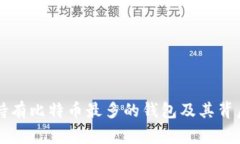 当前持有比特币最多的钱