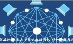 :如何在iOS设备上下载以太