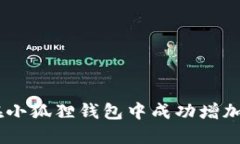 如何在小狐狸钱包中成功