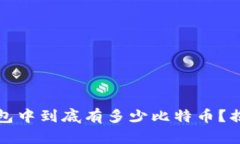 中本聪的钱包中到底有多