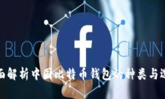全面解析中国比特币钱包
