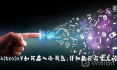 屎币（Shitcoin）如何存入冷