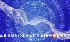 比特币钱包ID是什么样子的