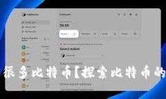 为什么有的钱包很多比特