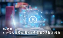 思考的  t p钱包是否支持