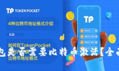 国外电子钱包是否需要比