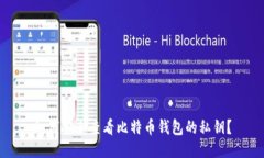 如何安全查看比特币钱包