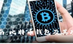 完整指南：比特币钱包及