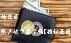 思考一个且的优质tp钱包苹
