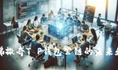 探索佛撒奇T P钱包公链的