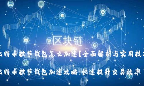比特币披萨钱包怎么加速？全面解析与实用技巧

比特币披萨钱包加速攻略：快速提升交易效率