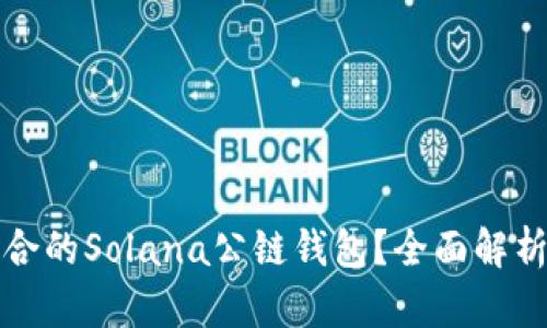 如何选择适合的Solana公链钱包？全面解析与使用指南