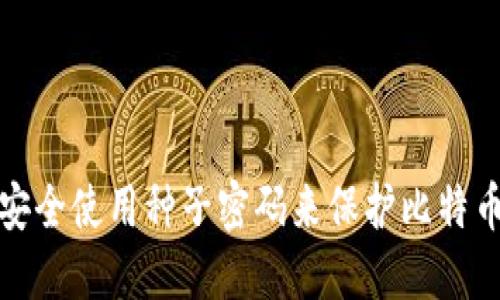 如何安全使用种子密码来保护比特币钱包