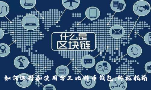 如何选择和使用分叉比特币钱包：终极指南