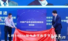 支持Solana链的最佳数字钱