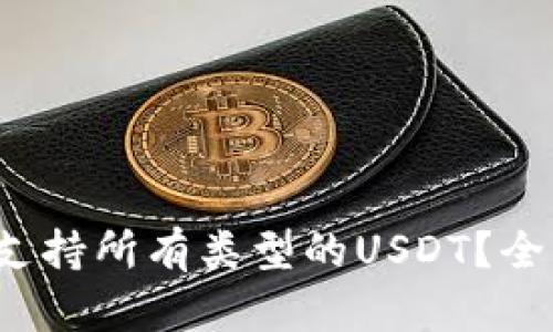  比特派钱包是否支持所有类型的USDT？全面解读与使用指南