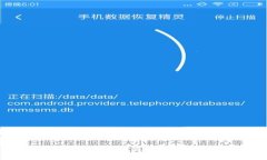 TP钱包在12点后未显示余额