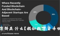 的优质tP钱包中的薄饼是什
