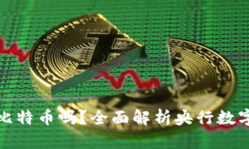 央行数字钱包支持比特币吗？全面解析央行数字货币的现状与前景