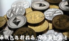 比特币钱包选择指南：哪