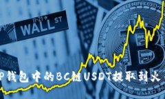 如何将TP钱包中的BC链USD