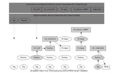 比特币钱包是否支持Dash？