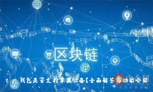 t p 钱包是否支持苹果设备？全面解答与功能介绍