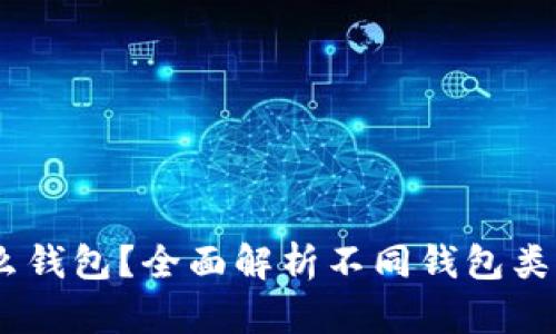 USDT使用什么钱包？全面解析不同钱包类型及选购指南