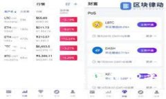 思考的和关键词  如何将狗