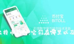 最原始的比特币钱包：它