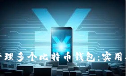 如何有效管理多个比特币钱包：实用指南与策略