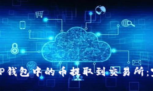 如何将TP钱包中的币提取到交易所：完整指南