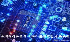 如何选择和使用 RNDR 存储