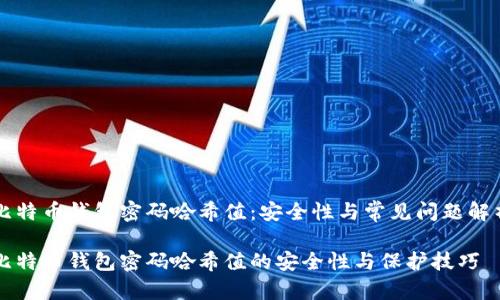比特币钱包密码哈希值：安全性与常见问题解析

比特币钱包密码哈希值的安全性与保护技巧