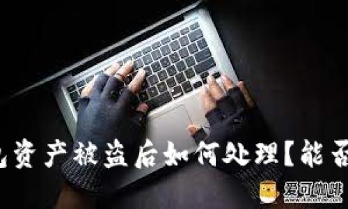 TP钱包资产被盗后如何处理？能否报案？