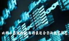 比特币存储指南：选择最