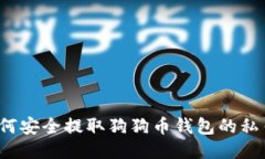 如何安全提取狗狗币钱包