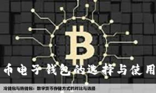 瑞波币电子钱包的选择与使用指南