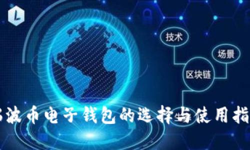 瑞波币电子钱包的选择与使用指南