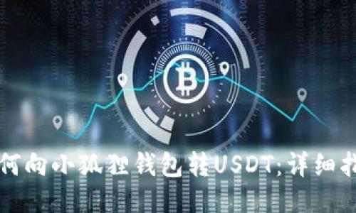 如何向小狐狸钱包转USDT：详细指南