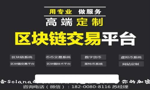 : 适合Solana的顶级硬件钱包推荐，保护你的加密资产