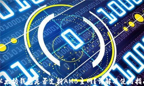 
以太坊钱包是否支持AMB主网？详解及使用指南