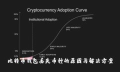 比特币钱包丢失币种的原