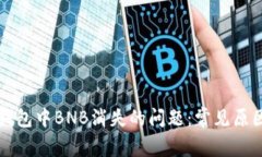 如何解决TP钱包中BNB消失的