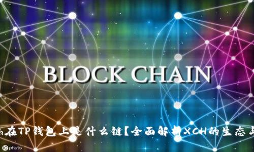   xch在TP钱包上是什么链？全面解析XCH的生态与应用