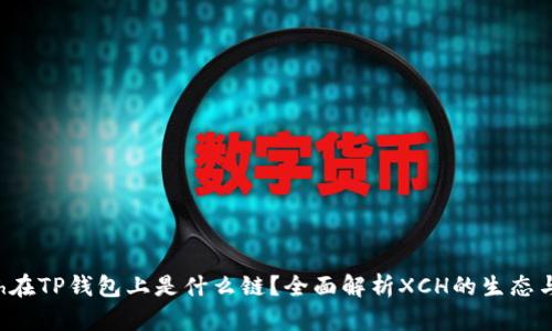   xch在TP钱包上是什么链？全面解析XCH的生态与应用