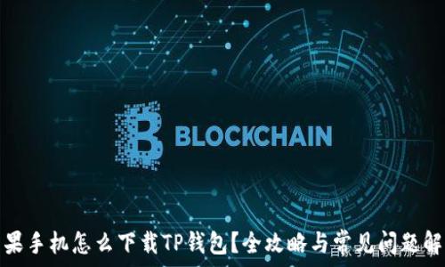  
苹果手机怎么下载TP钱包？全攻略与常见问题解答
