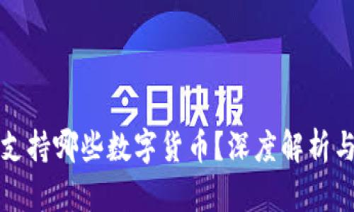 比太钱包支持哪些数字货币？深度解析与投资建议