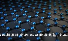 如何选择最适合的iOS比特