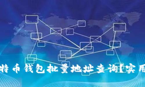 如何进行比特币钱包批量地址查询？实用指南与技巧